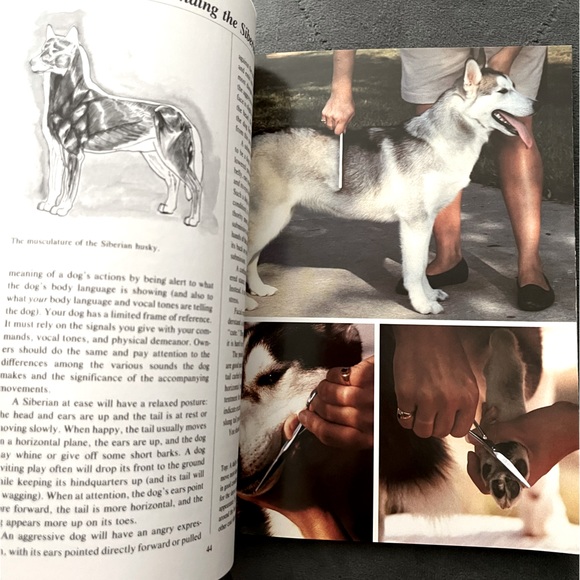 💖NEW 90s Siberian Huskies Dog Pet Owners Guidebook Hardback Color Photographs💖 - Picture 13 of 16
